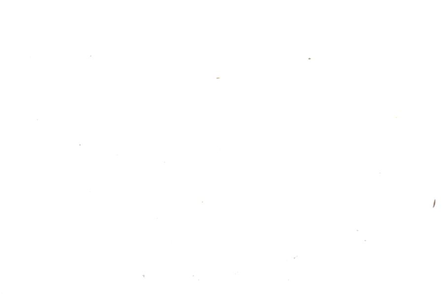 Image 30